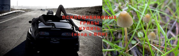 стаф Мегион