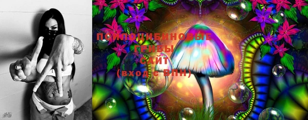 jwh Медвежьегорск