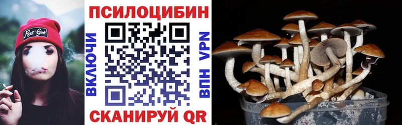 Купить закладки  Мурманск  Псилоцибиновые грибы GOLDEN TEACHER 