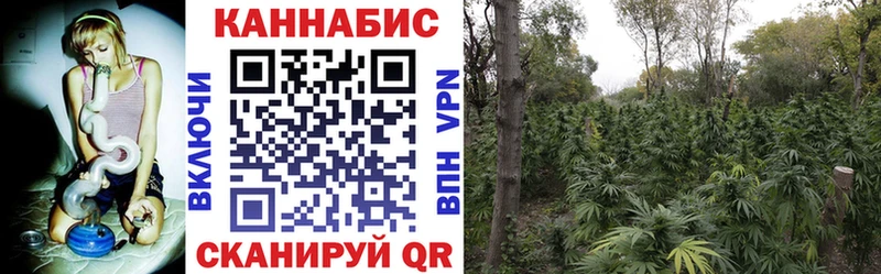 Бошки марихуана SATIVA & INDICA  Купить где  Мурманск 